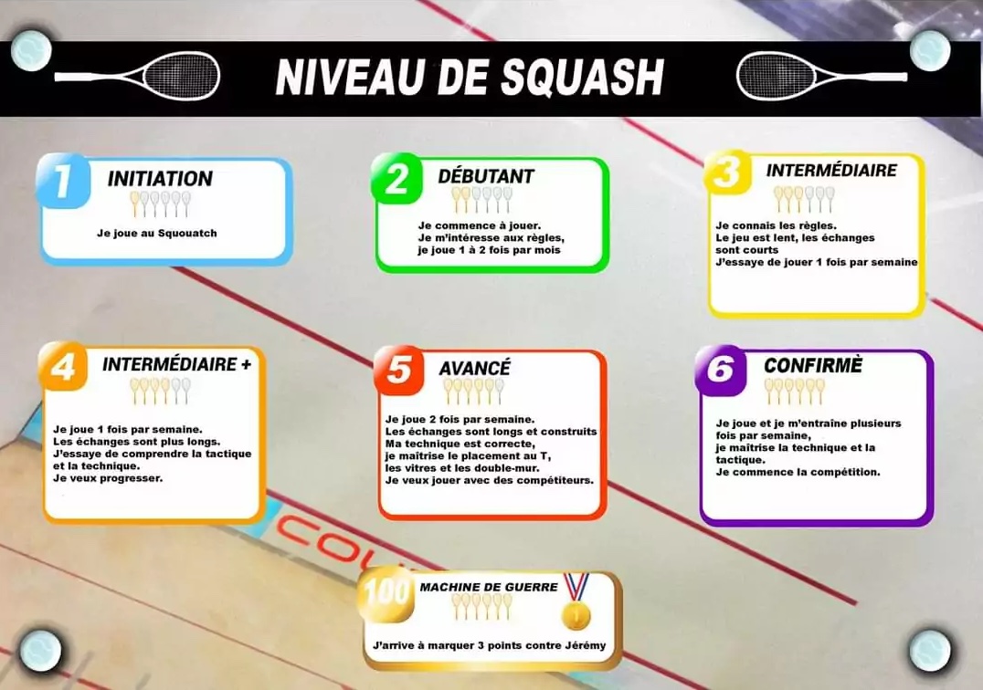 niveaux squash